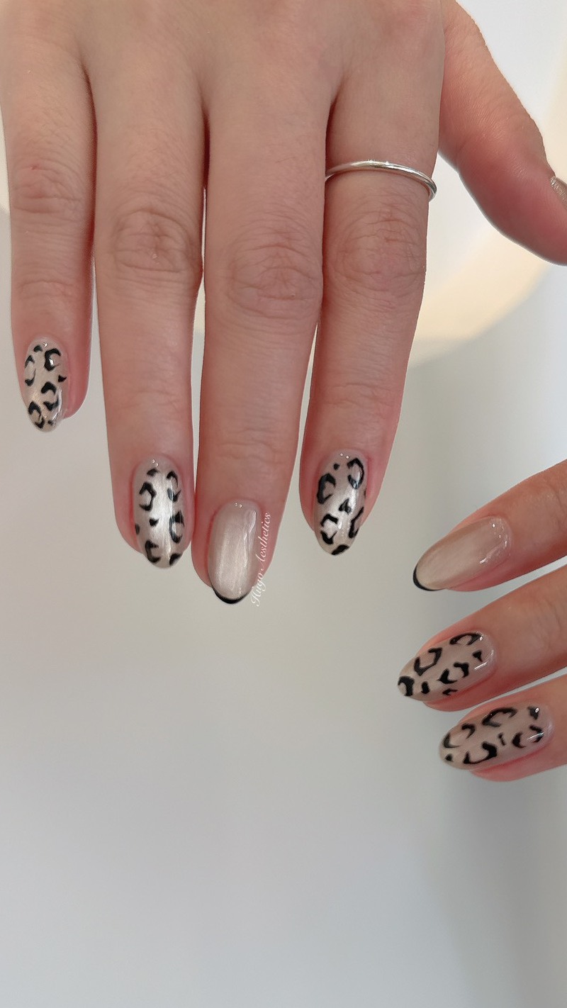 貓眼凝膠的魅力